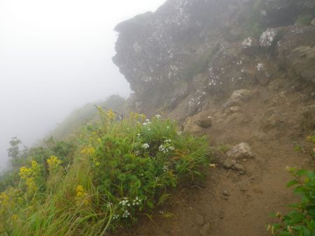 もうさっさと下山することにした。本当なら稜線を歩きたかったんだけど、この爆風で稜線なんてとても歩けそうにない