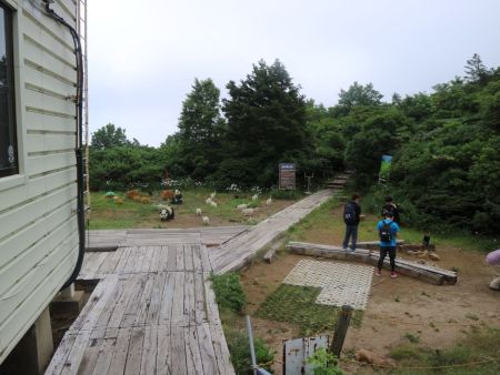 山頂駅より入山する。一般のコースタイムは１時間３０分らしいけど実際は１時間ちょっとくらいかもしれない