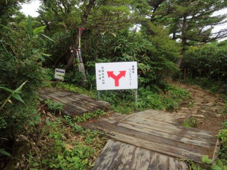 ここで分岐だけど、山頂方面はガスってるのでとりあえず薬師岳パノラマパークに立ち寄ってみる