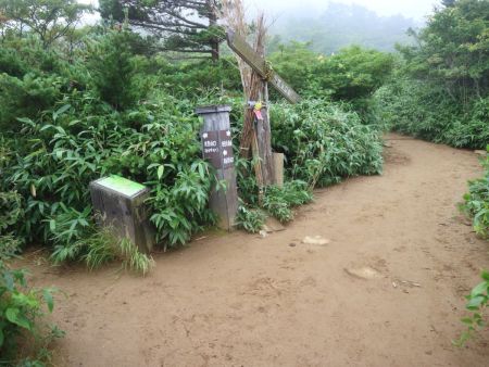 ここで分岐。表登山口のほうから登るとどのくらいかかるんだろうか！？