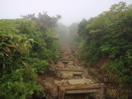整備された登山道でよくある階段だけど、やっぱりペースが乱される