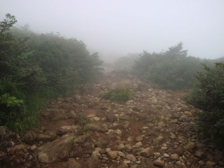 かなりガスってきた。ガレ場はあまり濡れてないので滑りはしないけど歩きにくい道だった