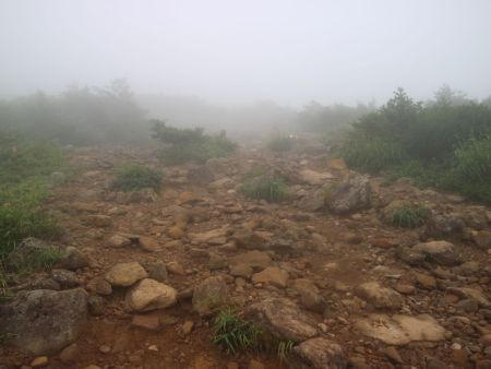 ガスで視界がなくなって上が見えなくなってる。本当なら山頂が見えてるんだろうけどね