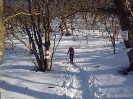 新しい装備のS嬢