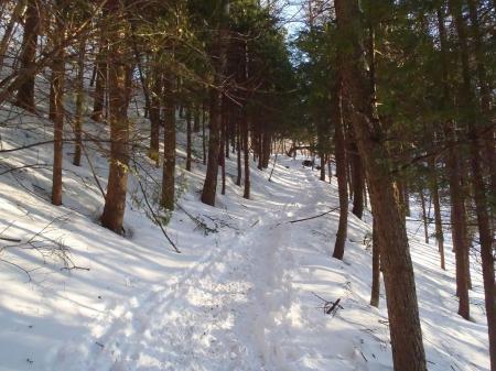 初心者にもやさしい傾斜の道が続く