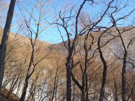 ここで尾根が見える。見えているコル部が荒山高原になる