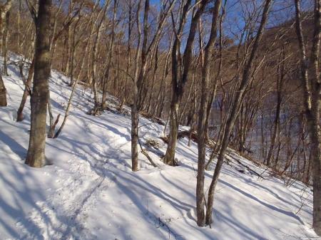 しばらくなだらかな登りが続く