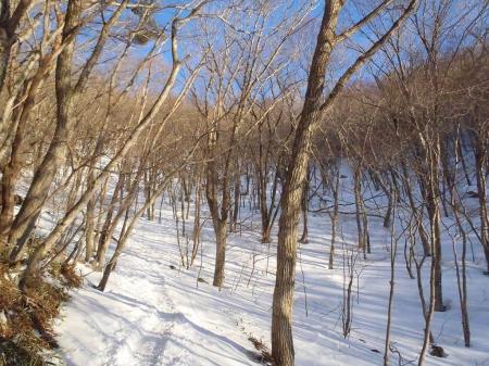 この付近から荒山高原まで少しの間、急登になる