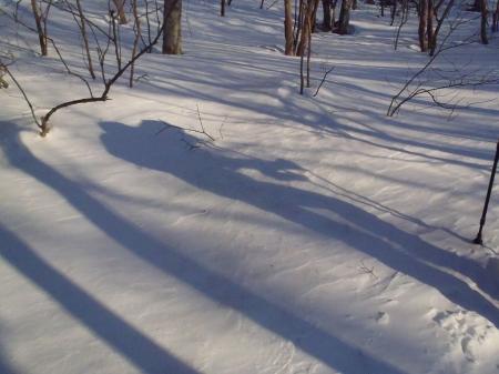 夕方の雪にうつる人影