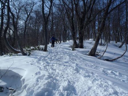 長い樹林帯の道がはじまる