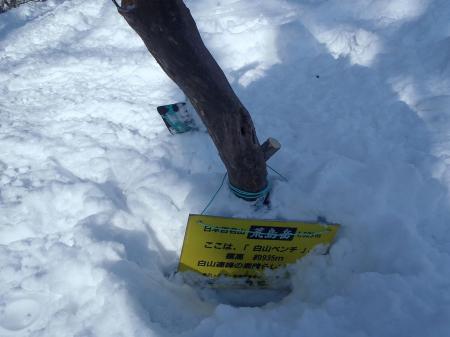 白山ベンチまできた