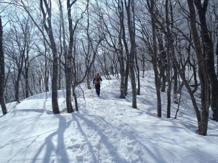 さらに樹林帯を進む