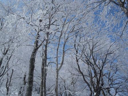 青空がでてきた