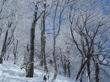 青と白のコントラストは最高！