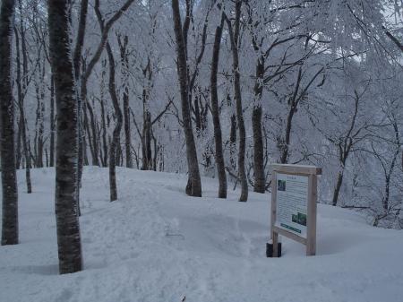 この看板のところからさらに急登