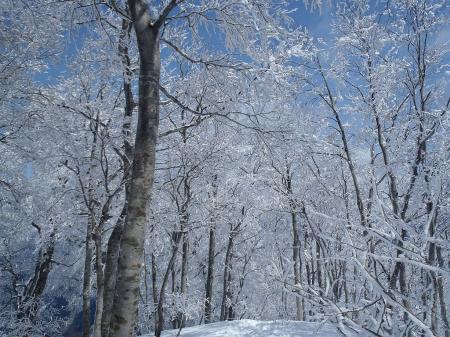 樹氷を見ながらの急登