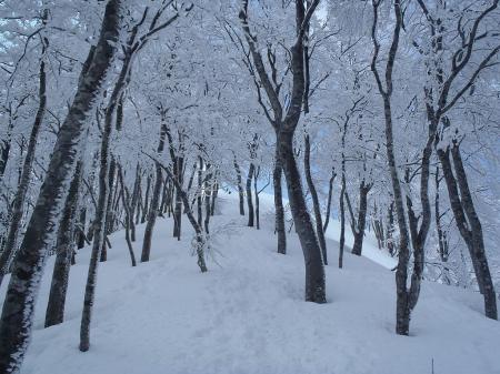 ようやくピークらしきところが見えた