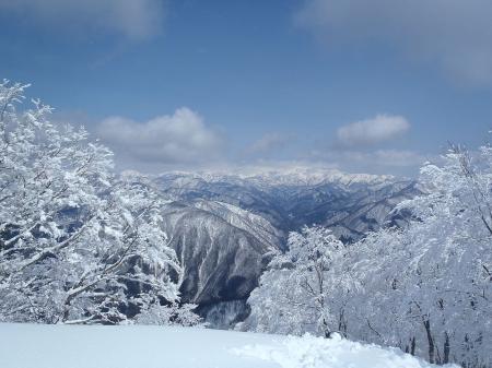 シャクナゲ平に到着