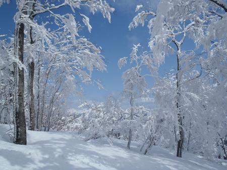 天気が本当に良い