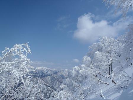 シャクナゲ平から荒島岳のピークを目指す途中