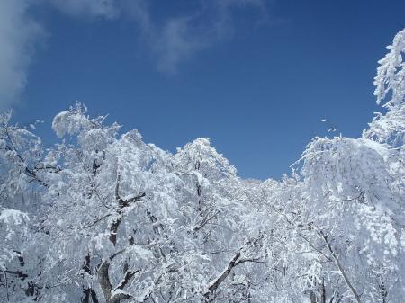 言葉にできない綺麗さ