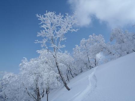 青と白がたまらなく綺麗！