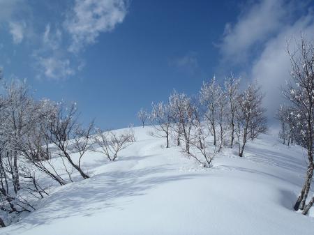 シャクナゲ平までもどり今度は小荒島岳へ