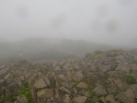 ガスがはけるのを期待して待っていたけど、雨が降ってきたのでもう断念して下山することにした