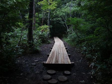 さすがは人気のルートだけあって登山道はよく整備されている