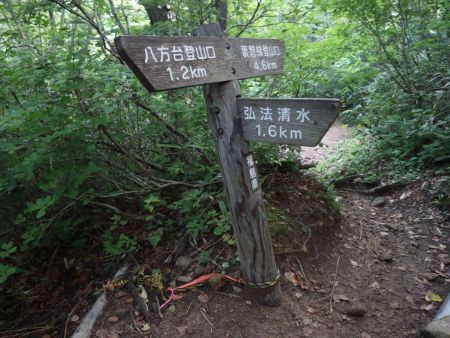 分岐。弘法清水を目指して進んでいく。あと1.6kmと少し時間がかかりそうだ