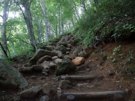 階段はあるものの濡れたガレ場なんかもあって滑りやすかった