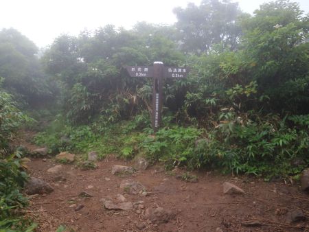 お花畑との分岐。完全にガスの中にいて青空すらでない