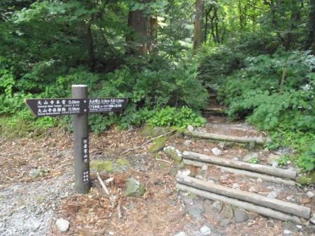 大神山神社の右手より本格的な登山道が始まる