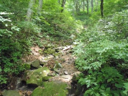 水のない沢沿いを登る