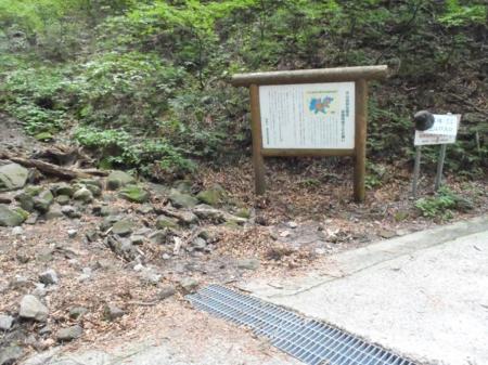 さらに分岐。右へいくと元谷