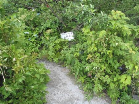 ここまでくるとあとは楽