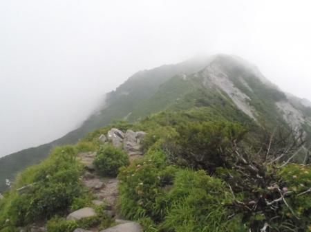 ここから縦走路になる。まずは象ガ鼻を目指す