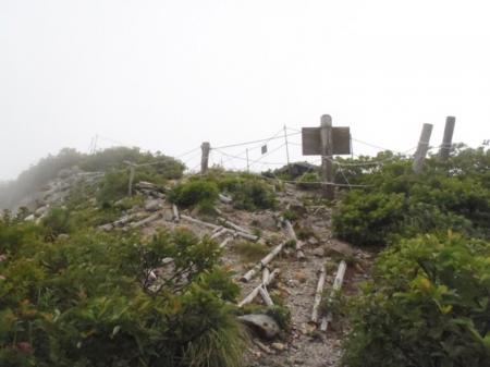 弥山山頂へ辿りついた