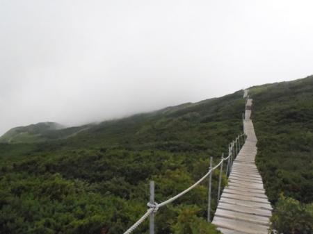 夏山登山道で下る