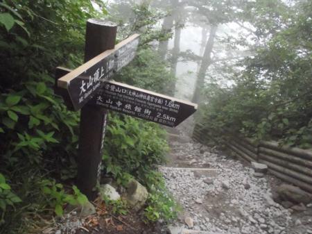 五合目の元谷ルートとの分岐