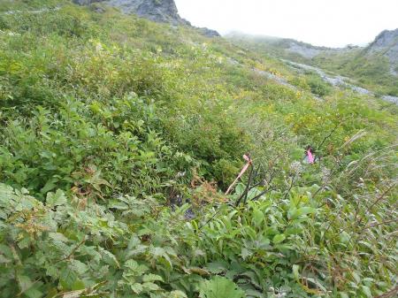 ピンクのテープも目印になります。頼りに右へ右へいくとＯＫ