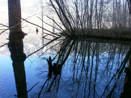 大正池から河童橋まではこういった水辺や梓川の水辺風景を見ながらの遊歩道となる