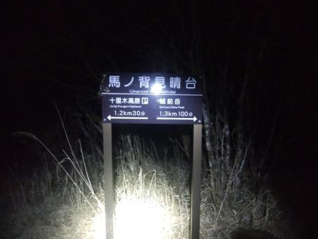 馬の背見晴台まで下ってきた。下りはさすがに早い