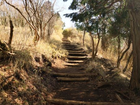 再び階段を登ることになる。序盤は本当に階段が多い登山道