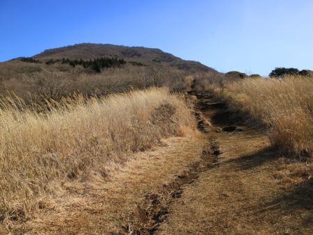 高原地帯っぽいところがまだ続いていく。地図からしても樹林帯に入っていくはずだけどまだもう少し先になる