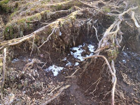 少し日陰になってるところに雪がちらほら残っていた。そういえば一週間前の記事を見ると積雪していたけど気温が高かったので解けたんだろうね