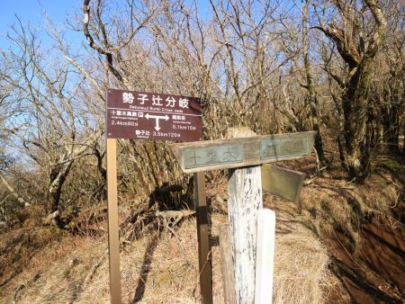 勢子辻分岐まで登ってきた。あと0.1kmで10分だけど、ここからがまだ少し登りが続く