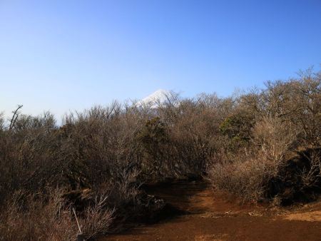山頂からは富士山の頭だけが見える。まあ、登っている最中にさんざん富士山を望んだのでもう十分かな