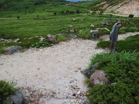 権現堂登山コースの登山口まで下ってきた。このまま右に遊歩道を歩いていってコル部あたりから向かいの山へ登れる道が見えたが時間がなかったので断念した