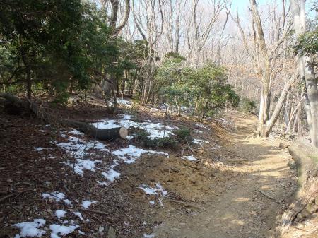 この付近から雪がちらほら出だした